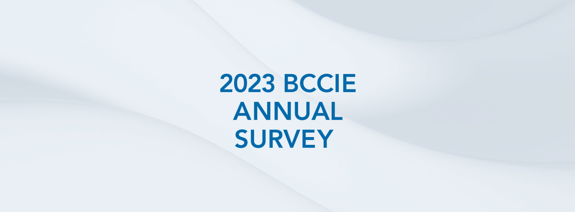 2023 BCCIE Annual Survey
